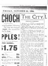 Saint Paul Pioneer Press, October 20, 1898, page 5- "Dies From Fall"